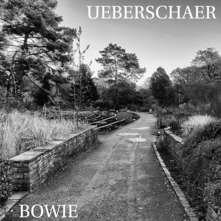 Cover Album Bowie EP 2017
